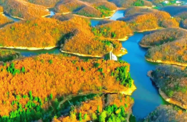 “蜀道上的千岛湖”初冬彩林成片