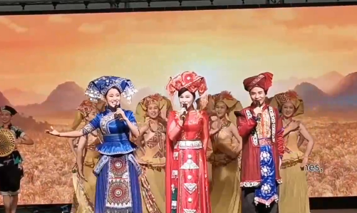 2024年维也纳联合国中文日活动展示多彩中国文化